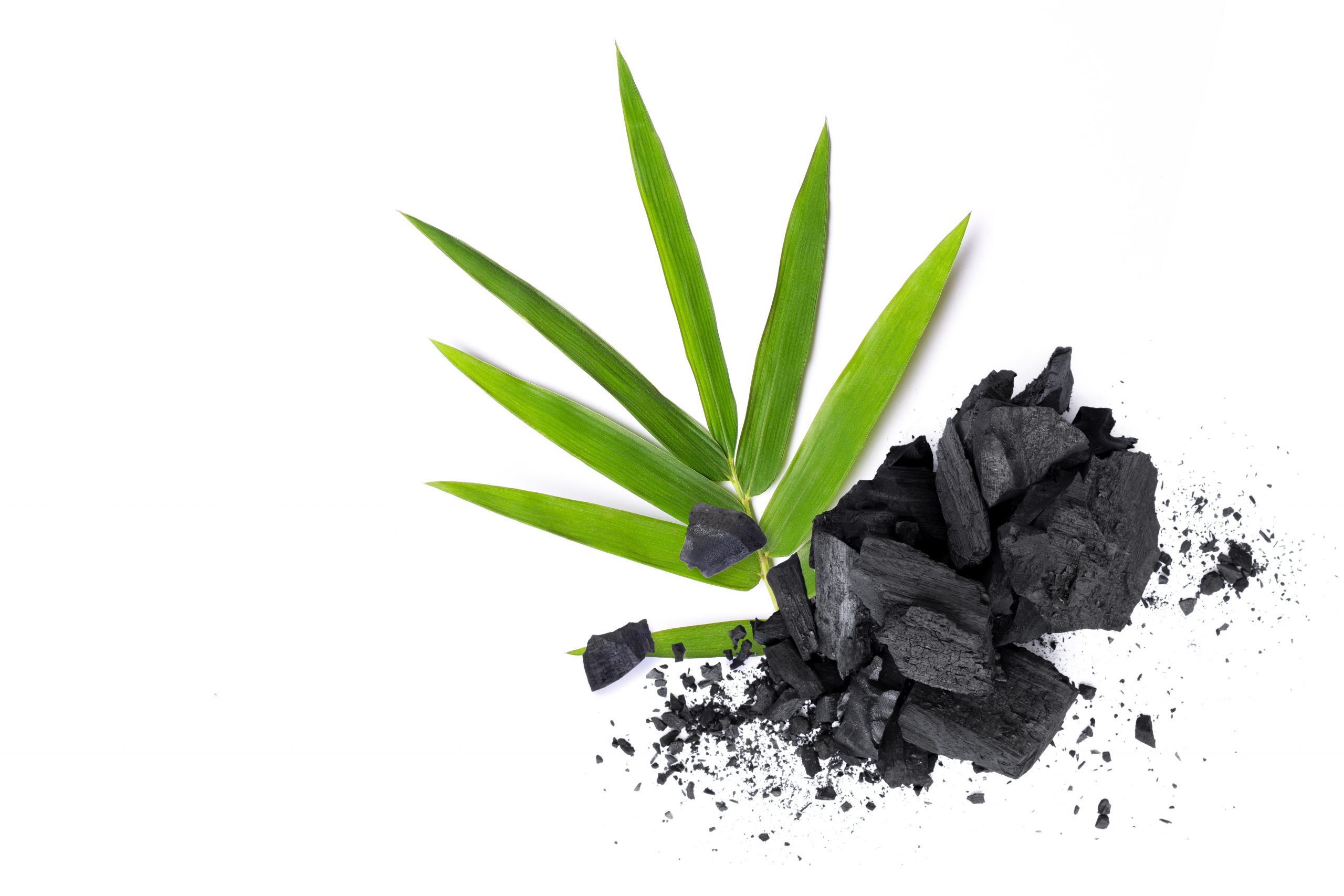 carbone-vegetale-usi-benefici